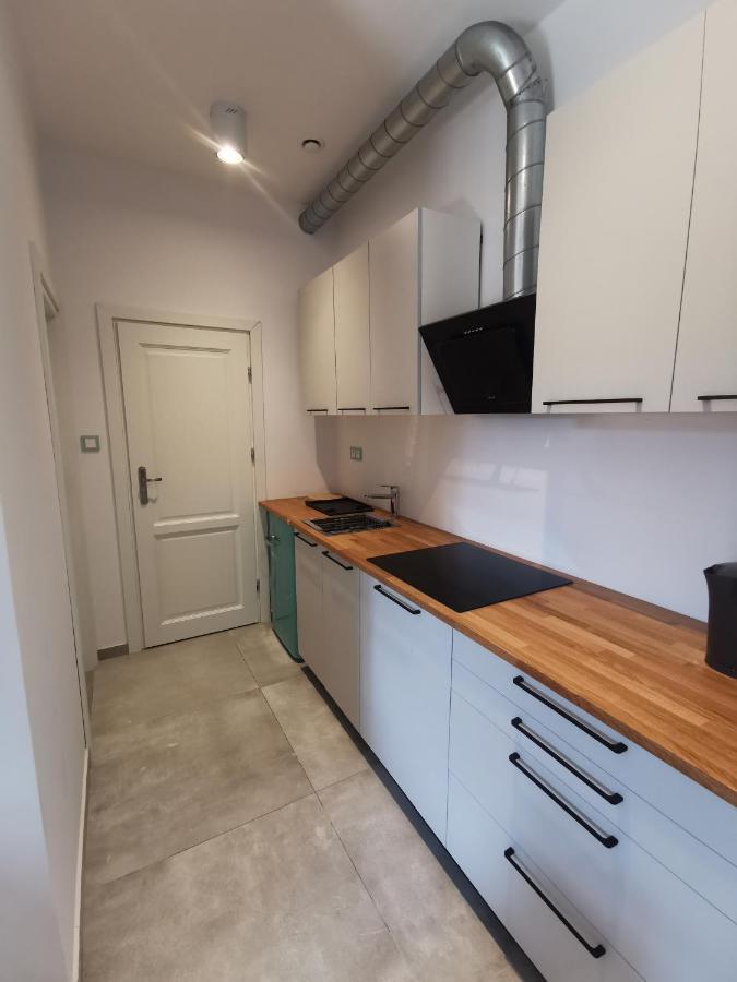 كراكوفيا Nowe Apartamenty Zamkowa Vis A Vis Wawelu المظهر الخارجي الصورة